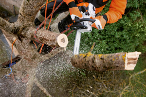stihl-ms-201-tcm_1